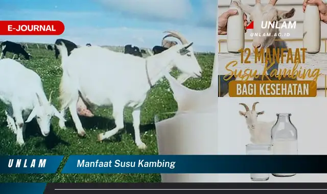 manfaat susu kambing