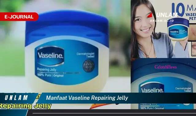 manfaat vaseline repairing jelly