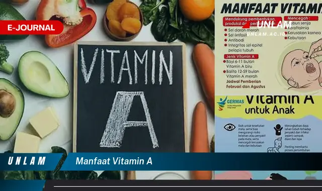 manfaat vitamin a