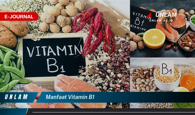 manfaat vitamin b1