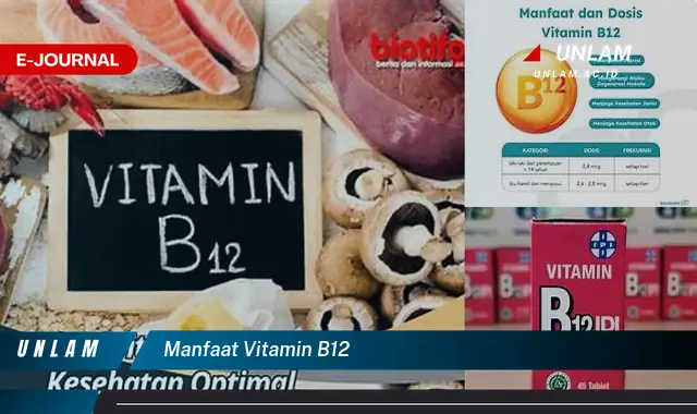 manfaat vitamin b12